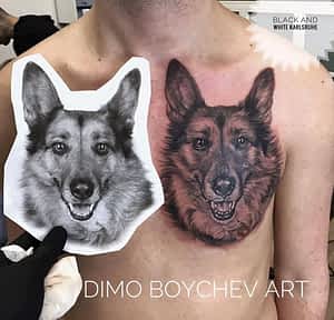 , Dimo Boychev