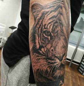 , Pascal Pascalero